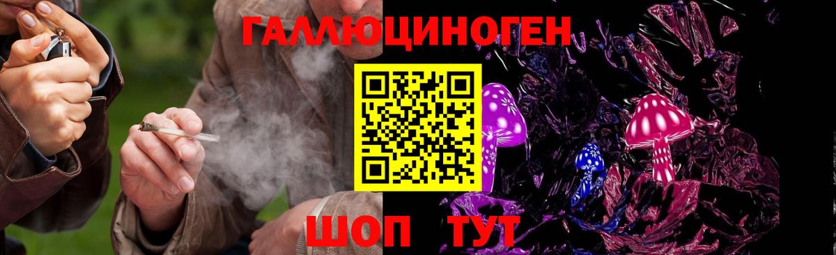 A PVP Кизилюрт